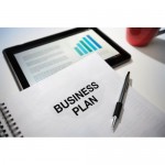 Professionally Drafted 3-Year Business Plan